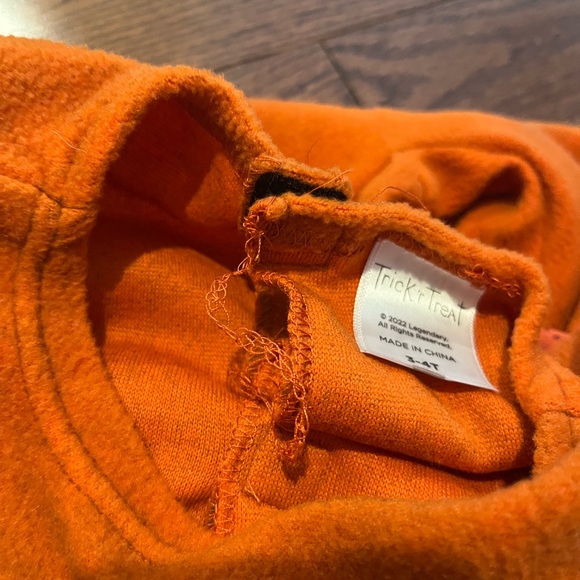 Spirit Sam Toddler Costume - Picture 6 of 12